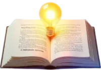 The Book Insight